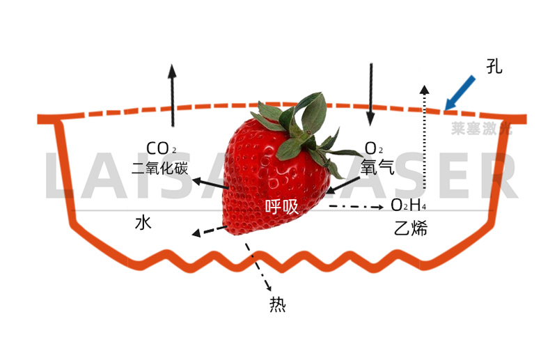 氣調(diào)果蔬保鮮打孔 激光打孔??氣調(diào)果蔬保鮮包裝運(yùn)用方案(圖3)